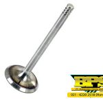 Intake Valve